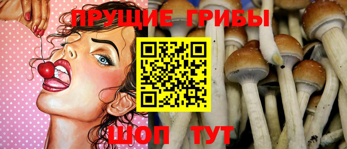 Псилоцибиновые грибы мицелий  Галлюциногенные грибы GOLDEN TEACHER  цены   Мончегорск  Вход с VPN 