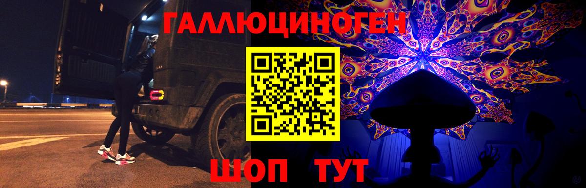 Галлюциногенные грибы Psilocybine cubensis Мончегорск